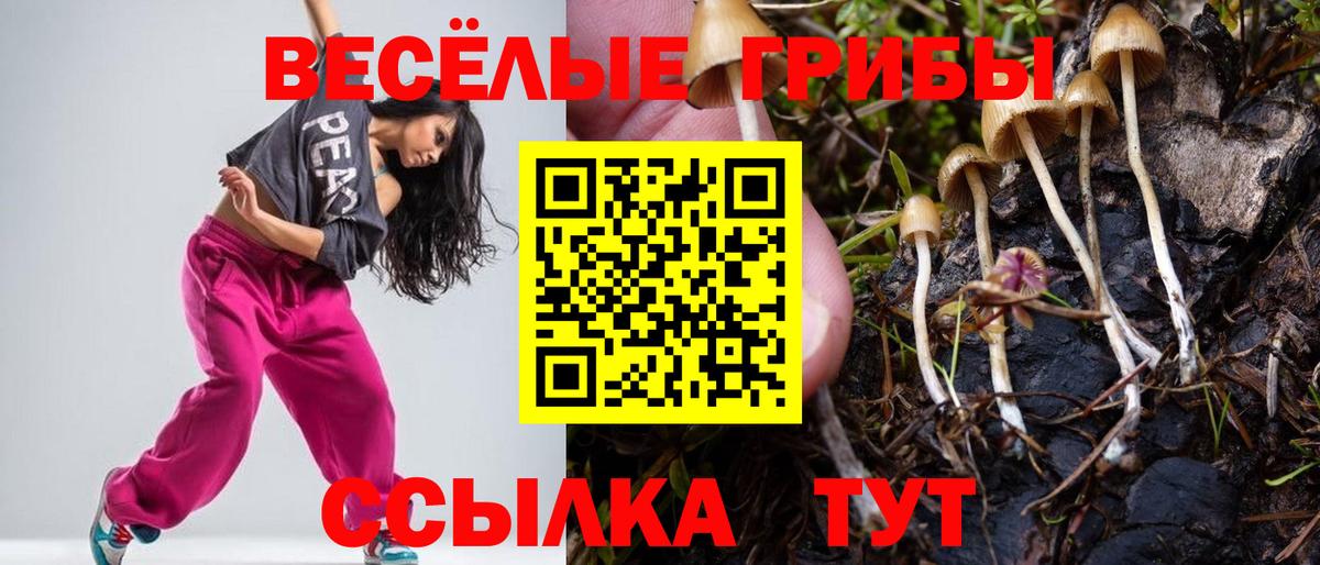 Смоленск  Псилоцибиновые грибы Cubensis  Вход с VPN 